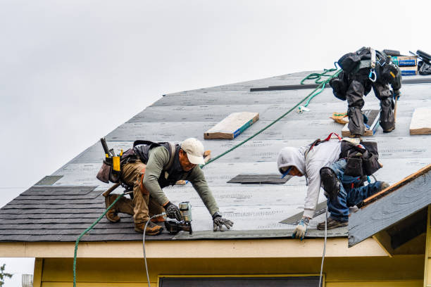 Professional Storm Damage Roof Repair technician working in Hampton, AR